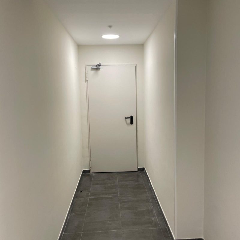 pintura y papel pintado en Gandía